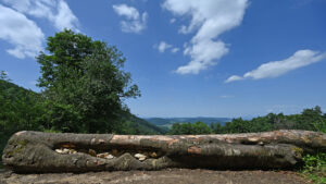 Geert_Schiks,NL_7315